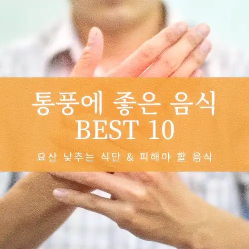 통풍에 좋은 음식 BEST 10