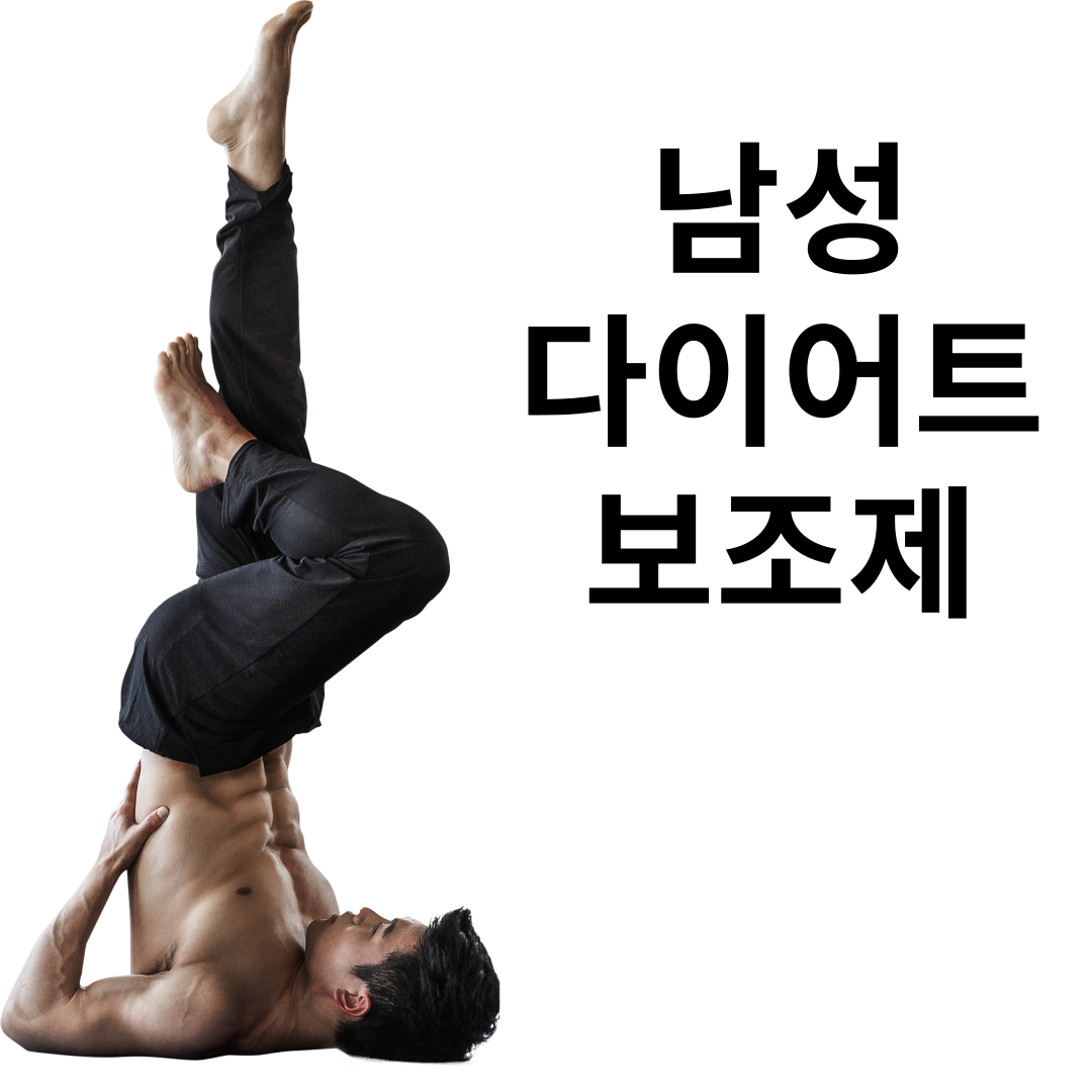 남성다이어트 보조제