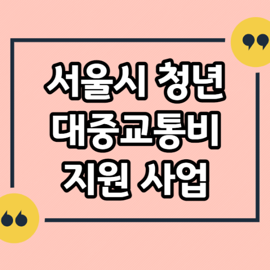 서울시-청년-대중교통비-지원사업