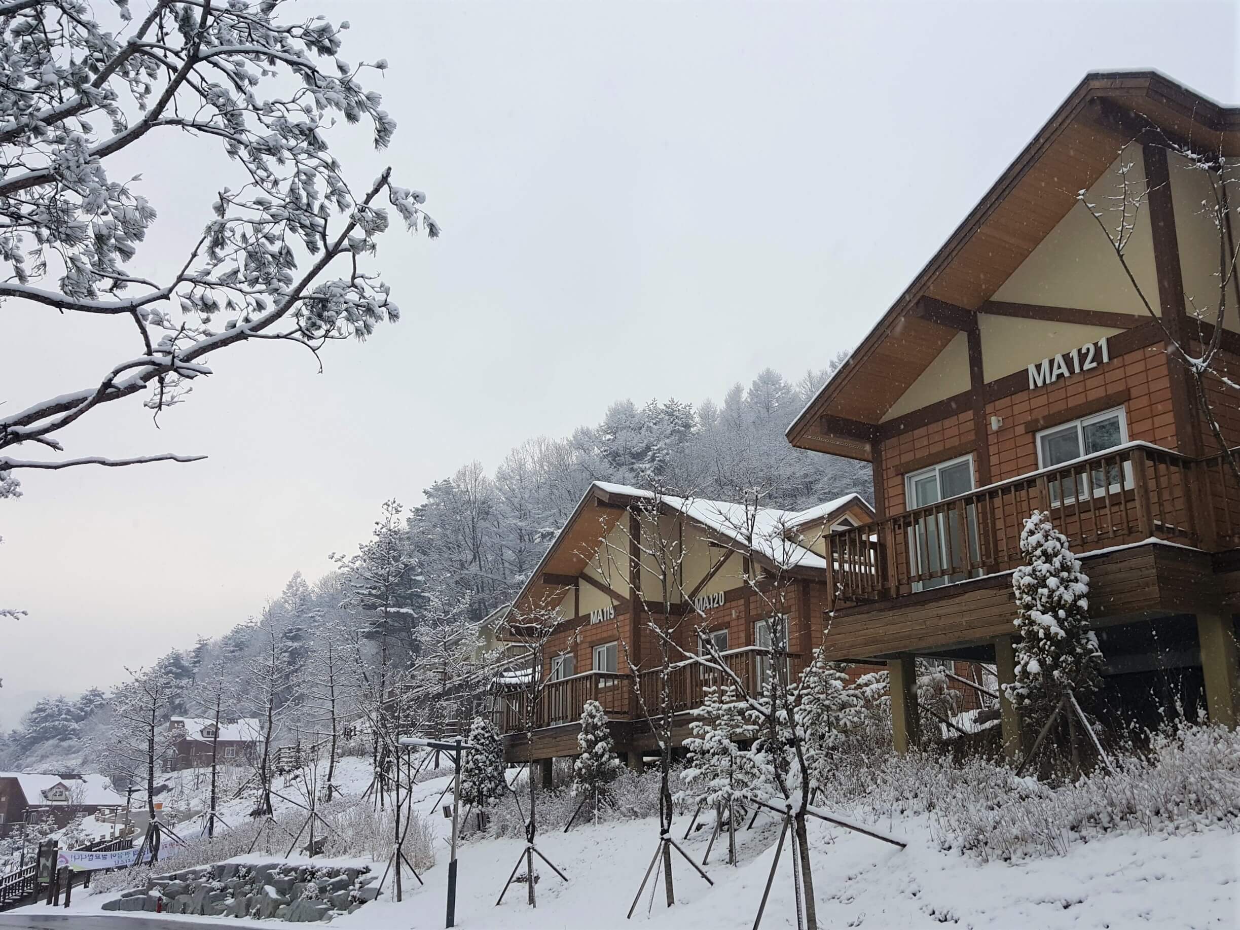 국립산림치유원, 산림치유원 예약, 국립산림치유원 요금,
국립산림치유원 프로그램, 국립산림치유원 후기, 국립산림치유원 숙박, 국립산림치유원 프로그램 추천, 산림 테라피, 숲 명상, 산림 치유 프로그램 예약 방법