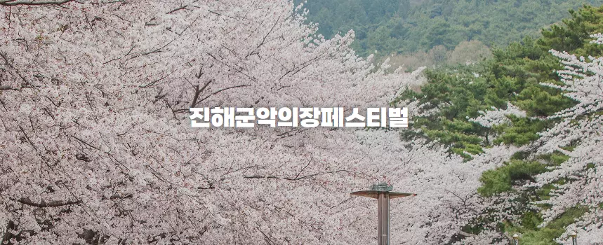 벗꽃