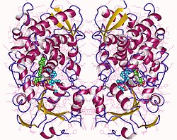 베시케어정5MG과 혼합복용해서 안되는 CYP3A4 저해제