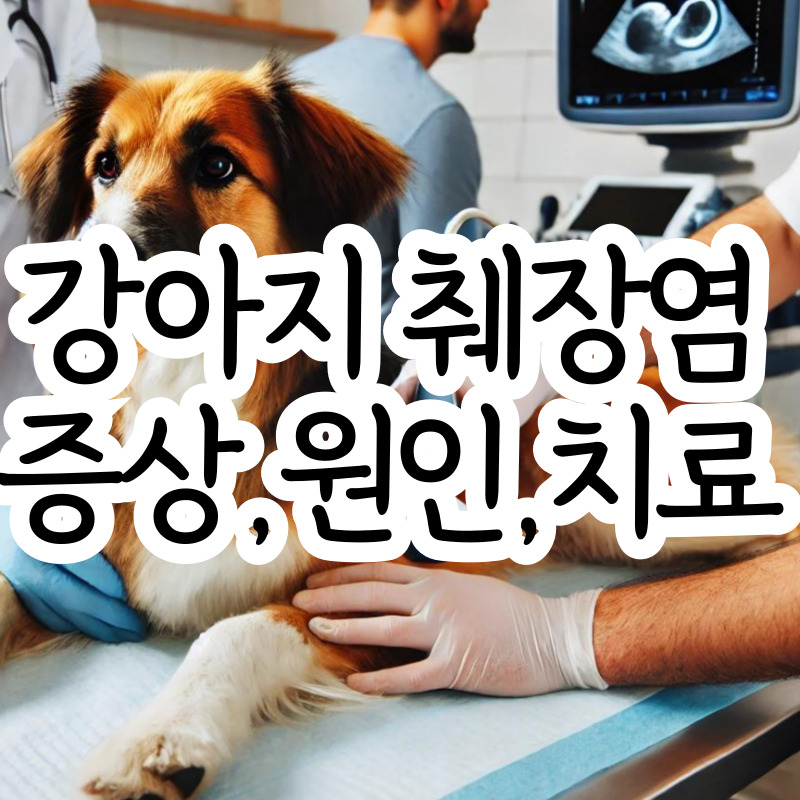 강아지 췌장염 증상 원인 치료방법