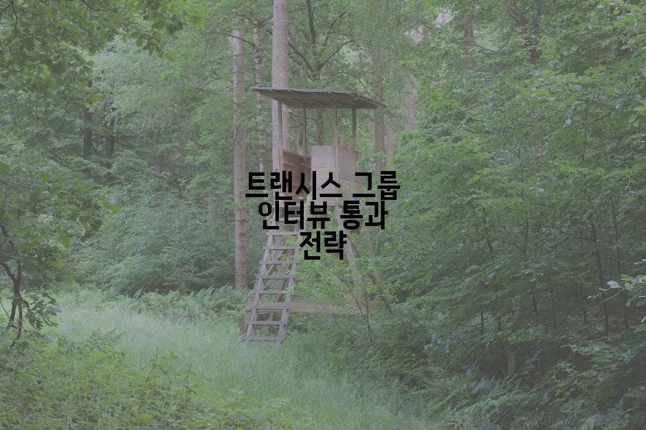 트랜시스 그룹 인터뷰 통과 전략