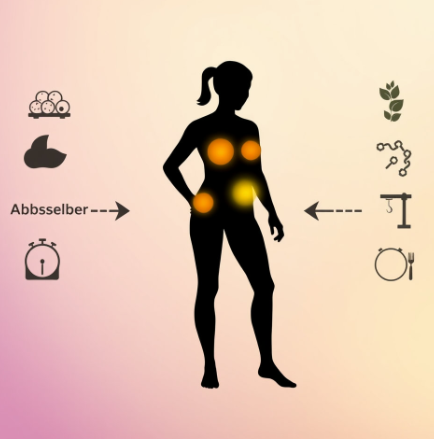 제로파우더알파cd-효능-섭취방법-성분