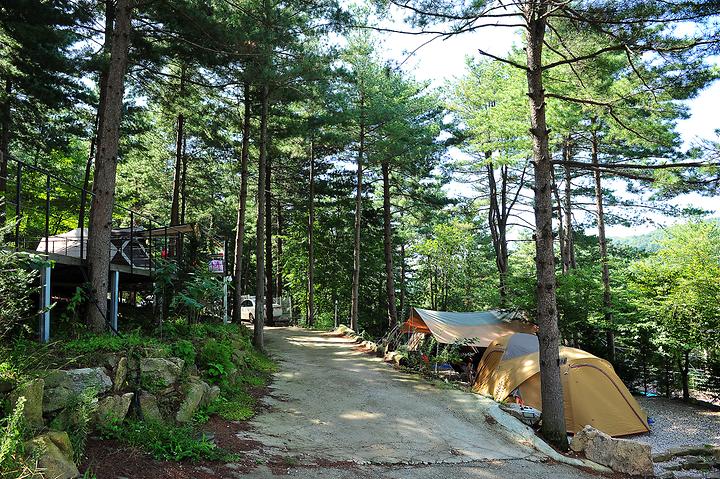 포천 나무새캠핑장 소개