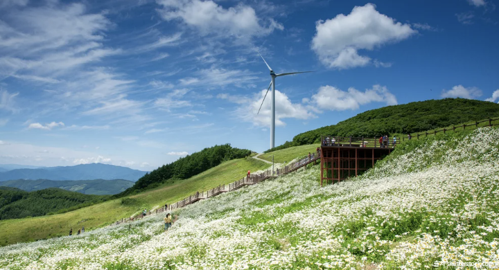 금토 or 토일? 고민된다면 여기! 힐링·감성 다 되는 1박 2일 국내 여행지 TOP5