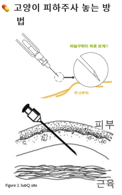 고양이 피하주사 놓는 법 그림 (링웜주사 셀프로 놓는 법)