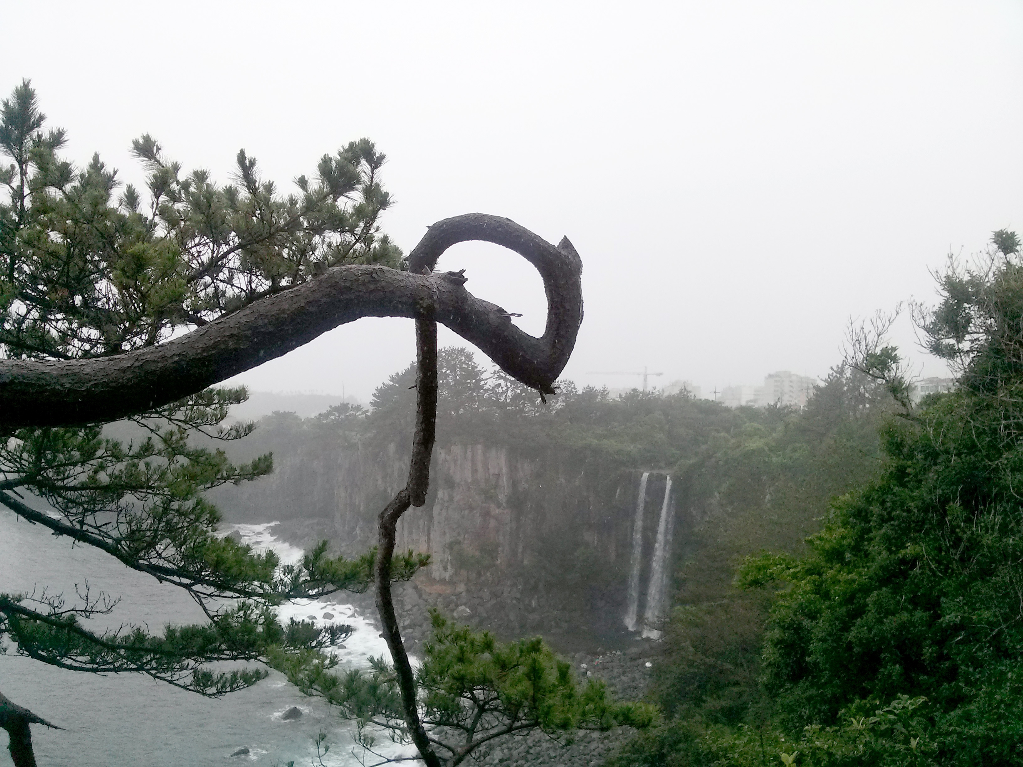 정방폭포(Jeongbang Pokpo Falls)