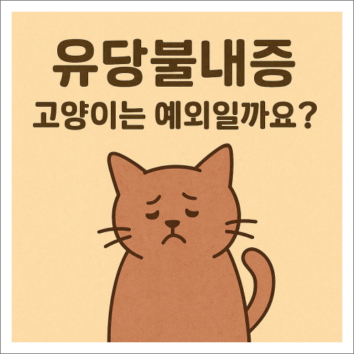 유당불내증, 고양이는 예외일까요?