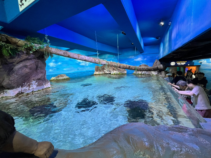 첨벙첨벙 가오리