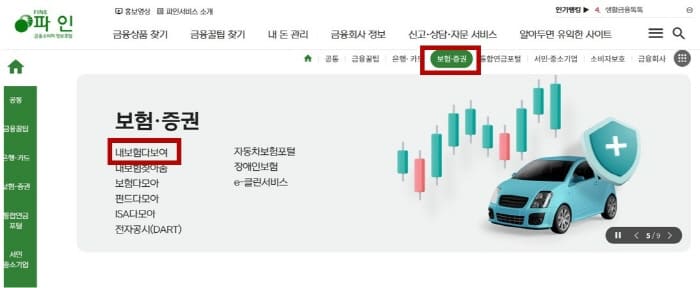 내보험다보여