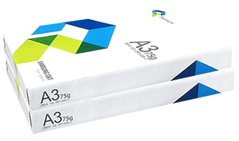 A3 용지
