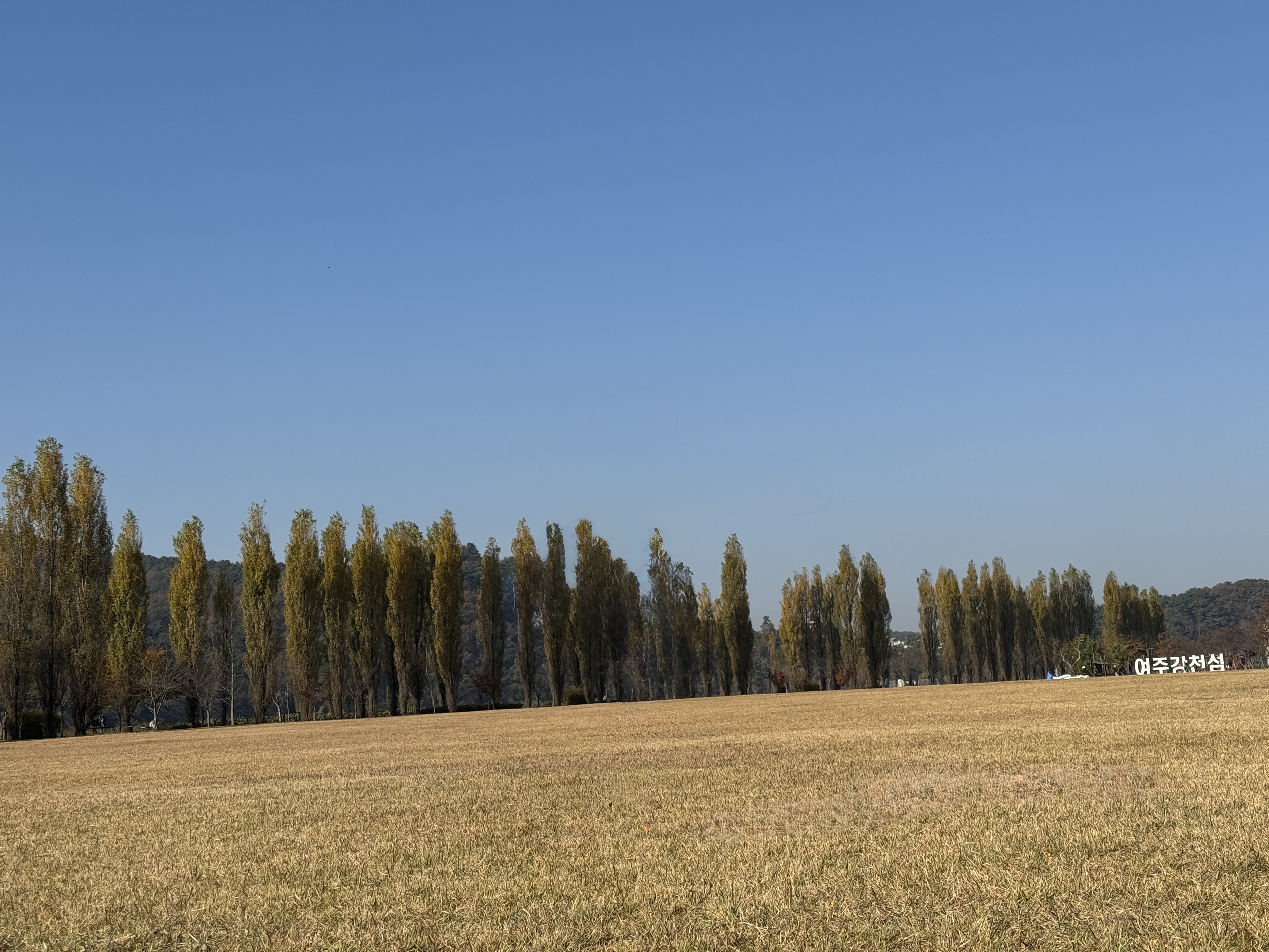서을근교카페 데이트카페 한강뷰카페 유원지 가을여행