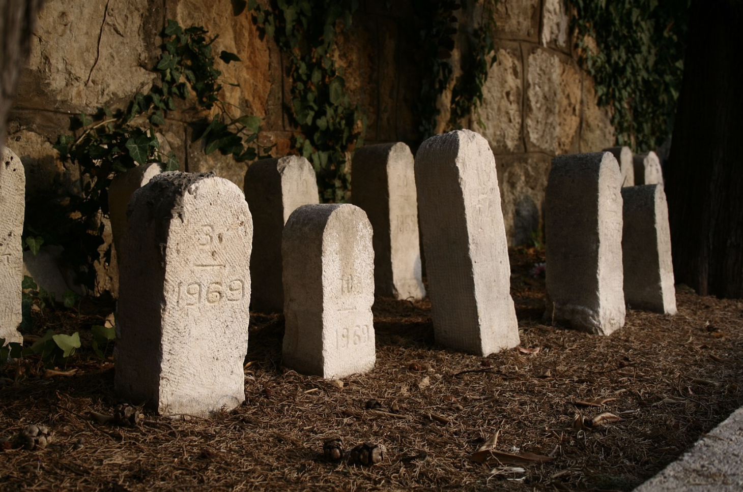 만약 죽음이 사라진다면, 우리는 더 행복해질까 아니면 무너질까?