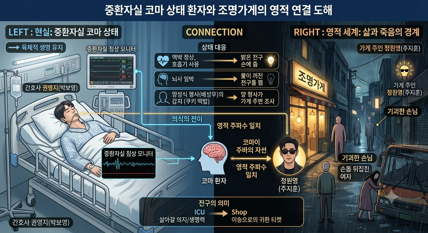 조명가게 버스 추돌 사고 전말 및 병원 중환자실 코마 환자 영혼의 연옥 안내