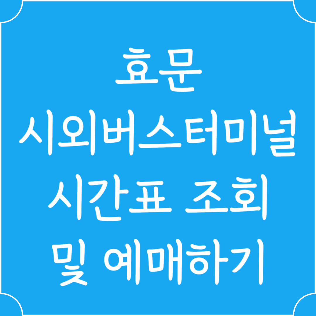 효문 시외버스터미널 시간표조회 및 예매하기