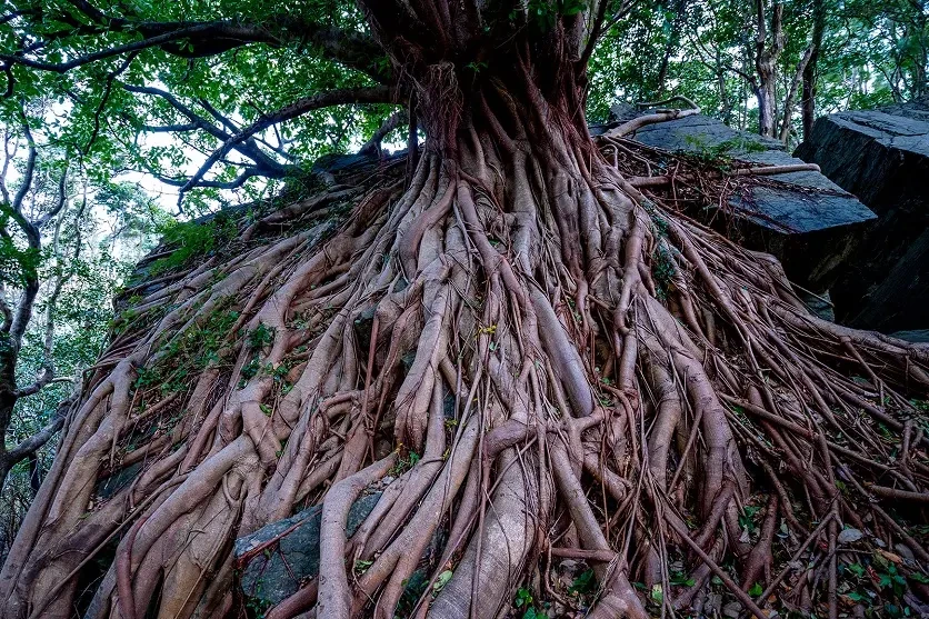 탐론 11-20mm F2.8로 촬영한 안정감 있는 삼각 구도 사진