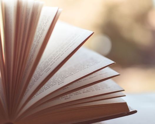 초등학생 국어공부