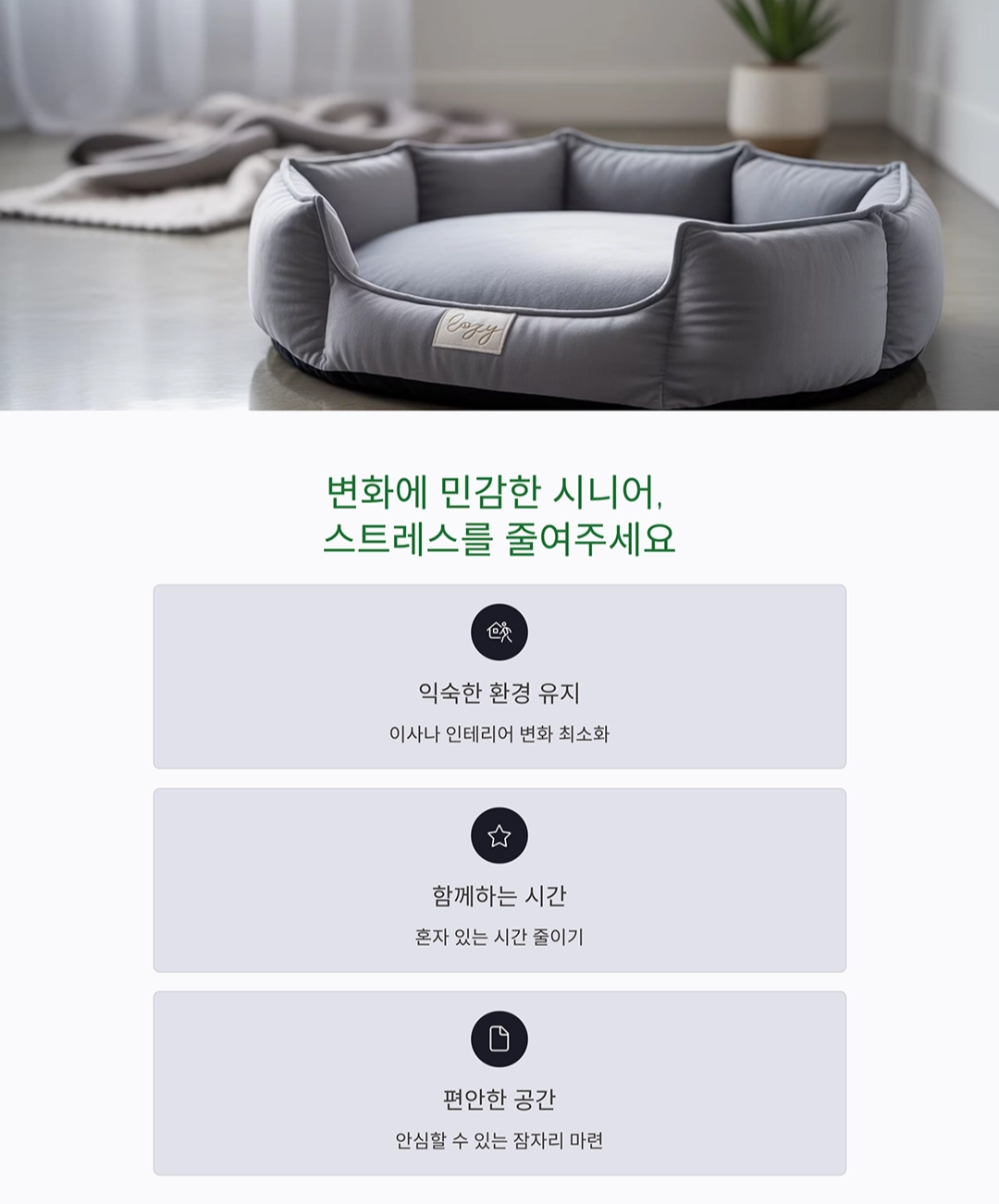 시니어 반려동물과 건강하게 오래 함께하는 방법