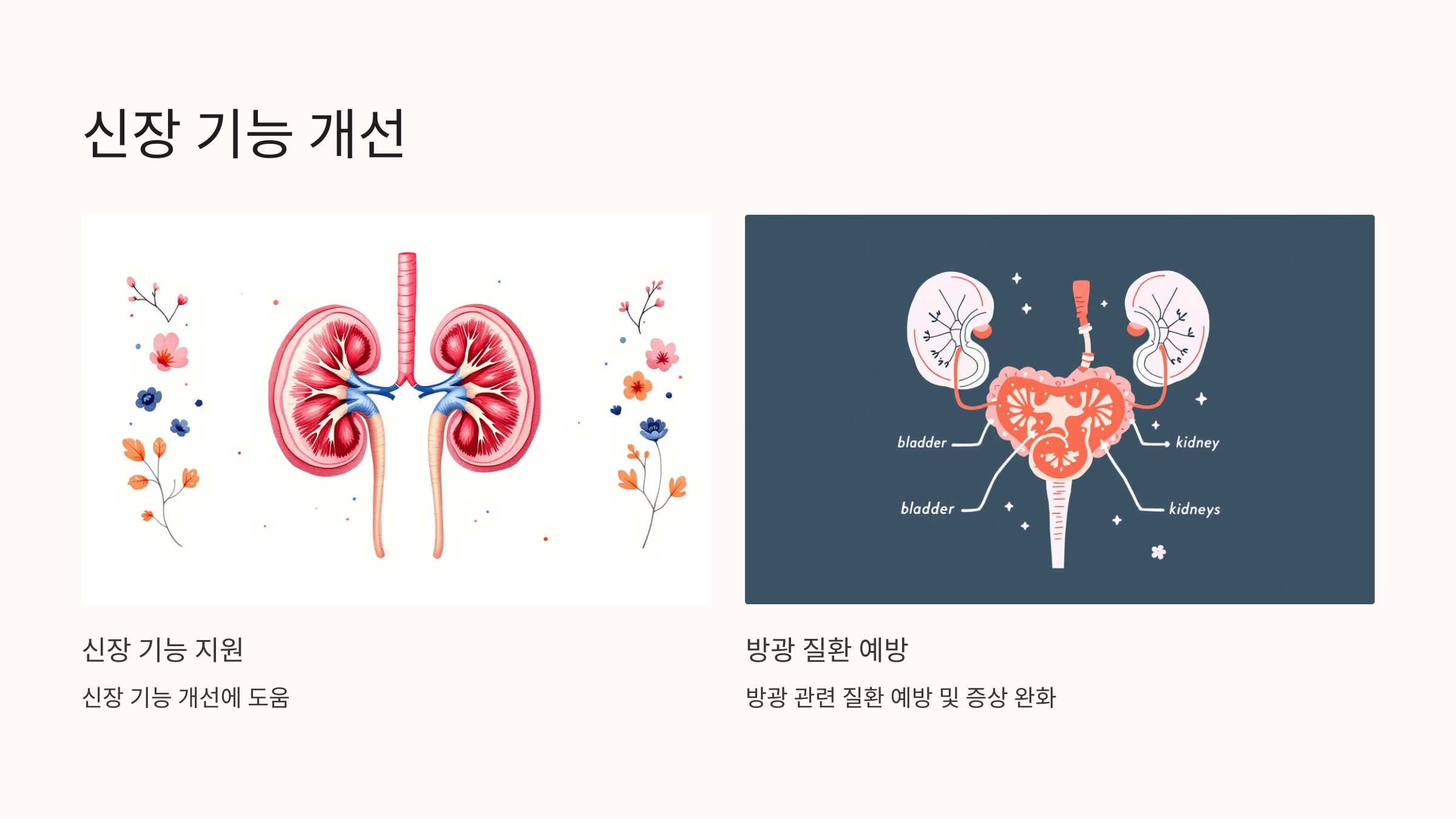 산수유차 사진입니다.