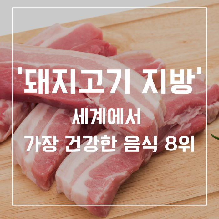 돼지고기 지방