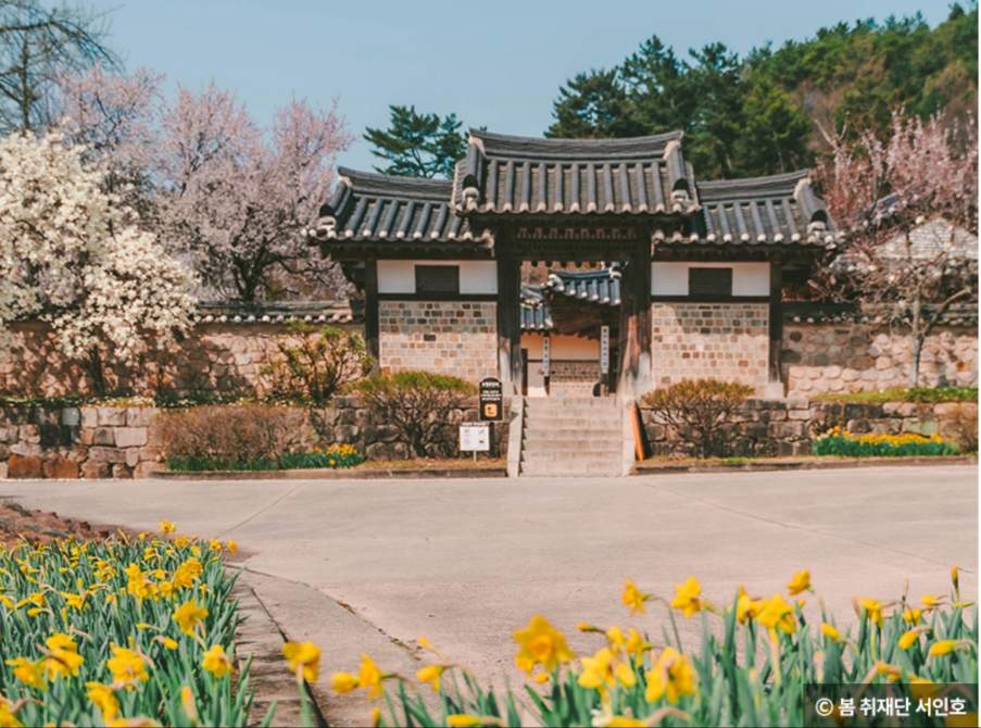 봄나들이 수선화 명소