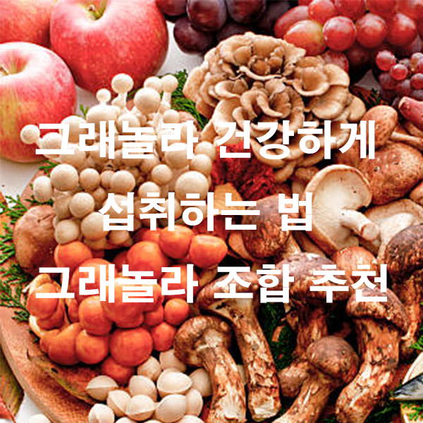 그래놀라 건강하게 섭취하는 법 그래놀라 조합 추천