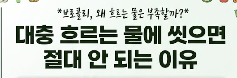 브로콜리 씻는방법