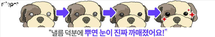 눈 영양제 광고