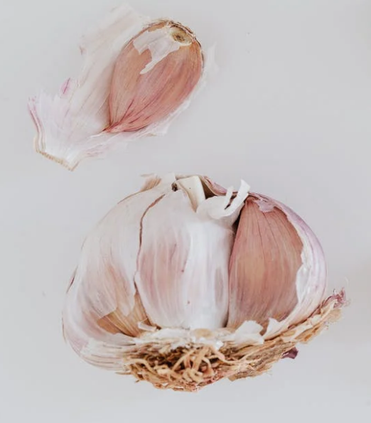 마늘