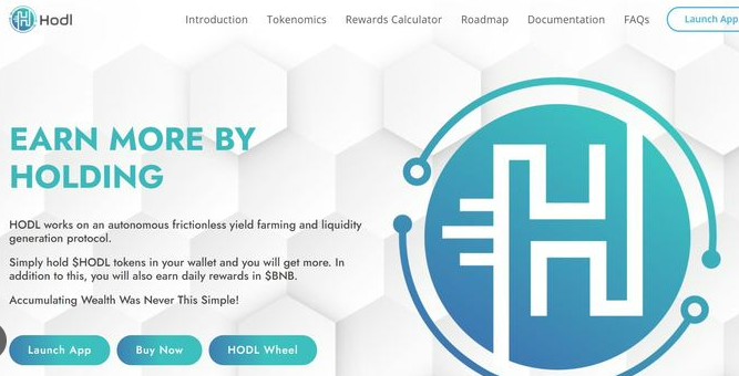 암호화폐 유행어 호들의 모든 것