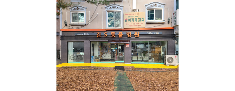 고양 일산동구 동물병원