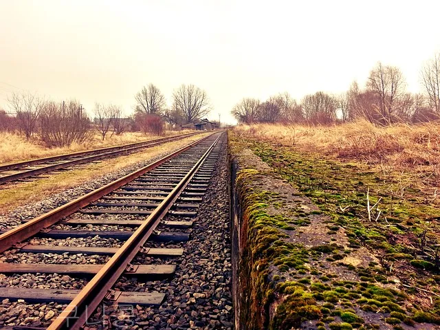국내-당일치기-여행-가볼만한곳-레일바이크-추천
