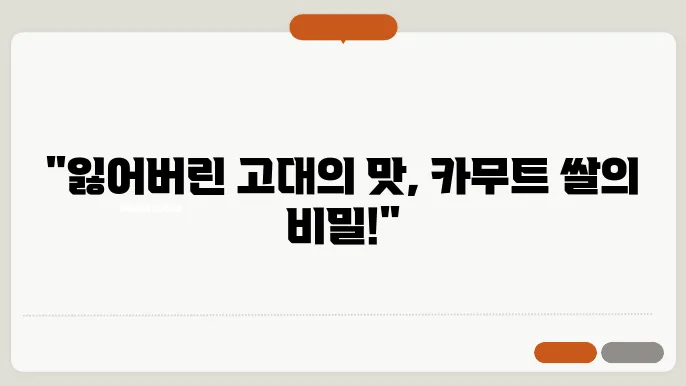카무트 쌀