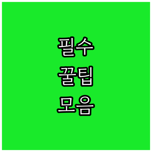 2025 고령군 국가유공자 수당 월 ..