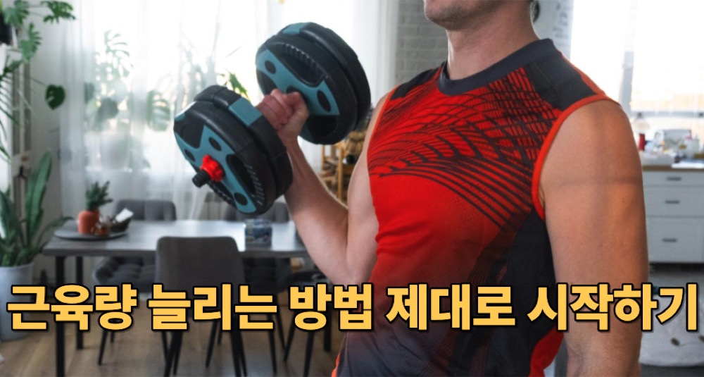 근육량 늘리는 방법