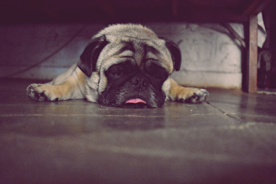Hangover.