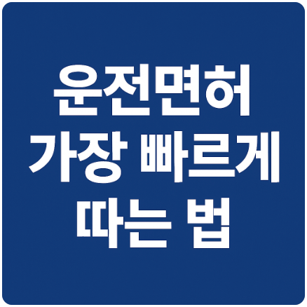 2025 운전면허 따는 법