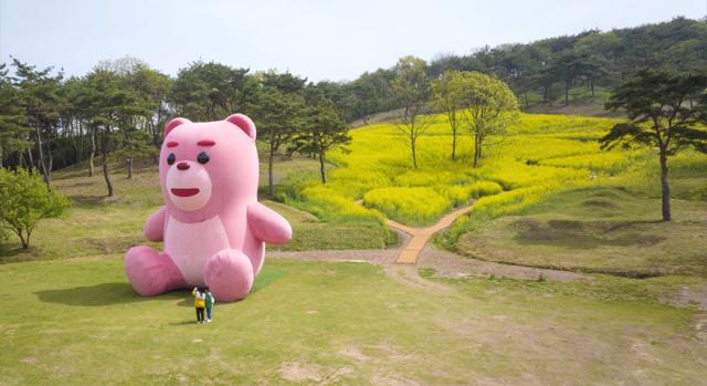 2025 화순 봄꽃 축제