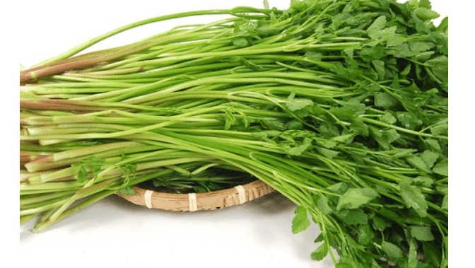 돌마니라 사진 - 25