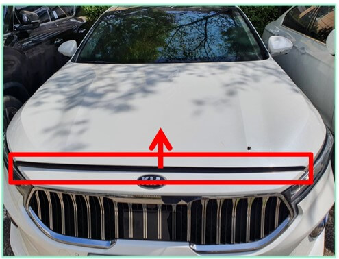 보닛-열어주세요