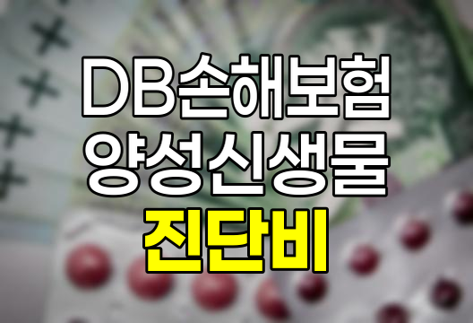 DB손해보험 2대양성신생물진단비 보험 상세 분석 관련 정보