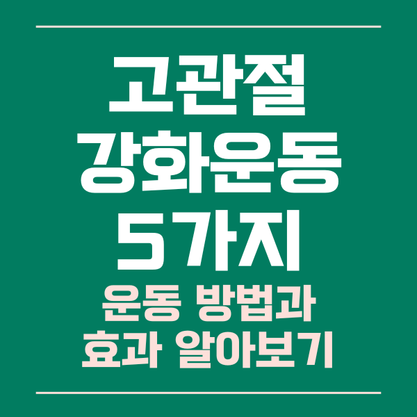 고관절강화운동