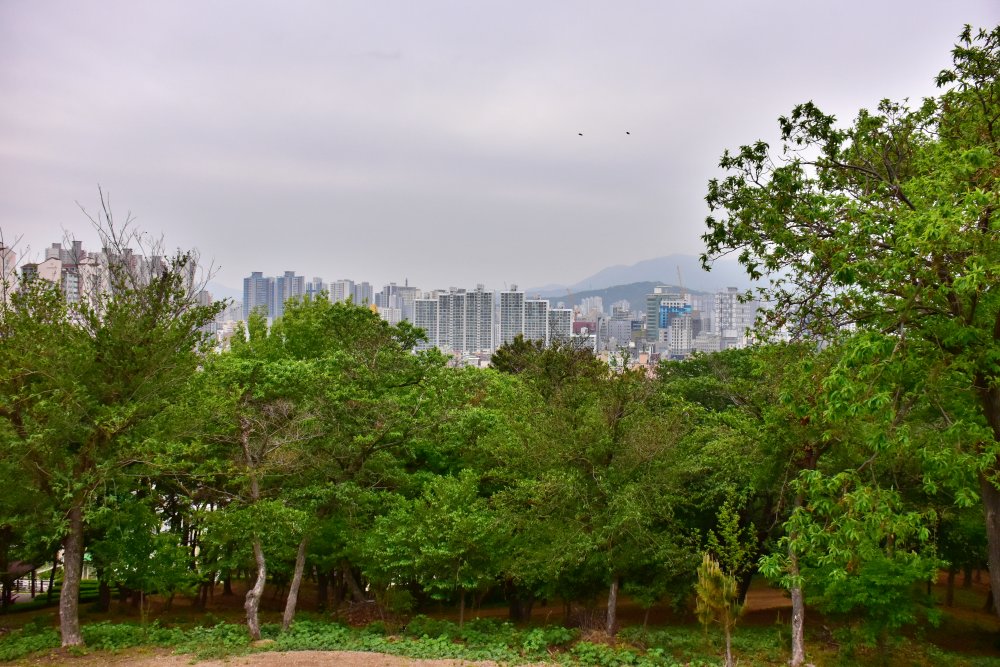 연산동 고분군 모습 2023년 4월