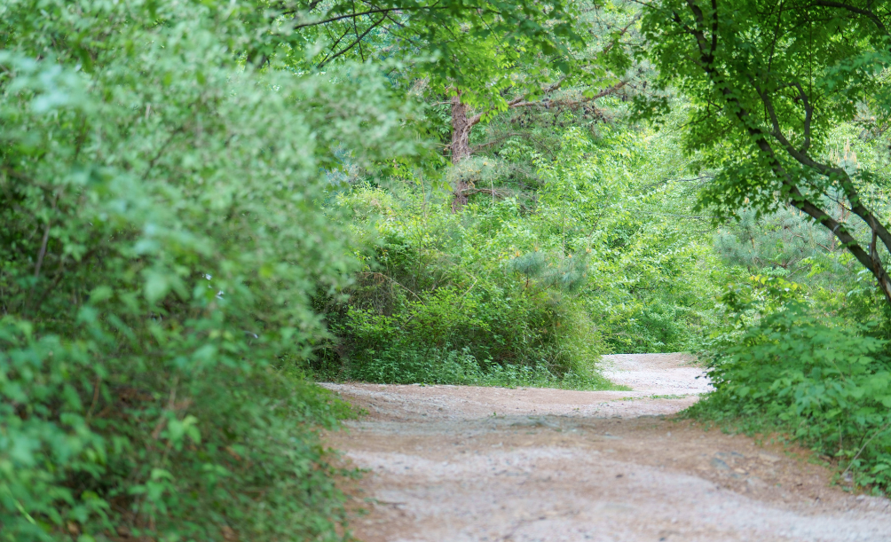 경기-포천-멍우리협곡-캠핑장-사진-입니다.