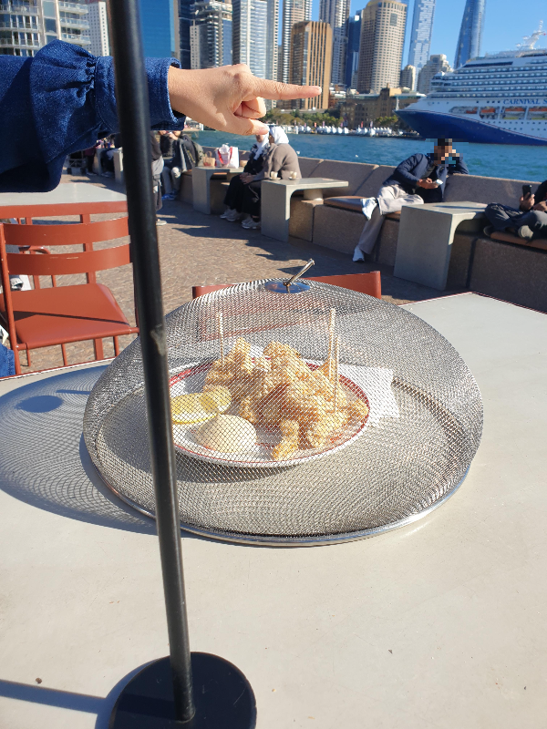 시드니 4박 5일 완벽 여행 일정_Opera bar