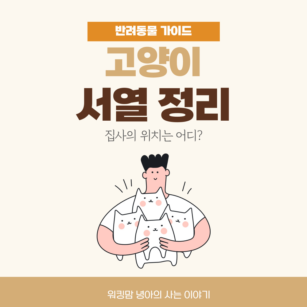 고양이-서열-포스팅-대문이미지