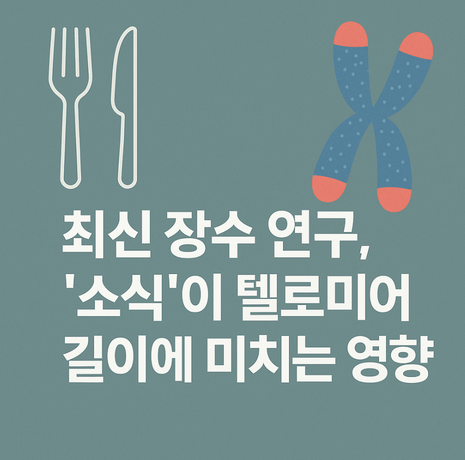 최신 장수 연구, '소식'이 텔로미어 길이에 미치는 영향