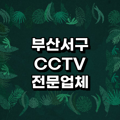 부산 서구 cctv